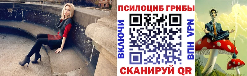 Галлюциногенные грибы Psilocybine cubensis  сколько стоит  Орск 