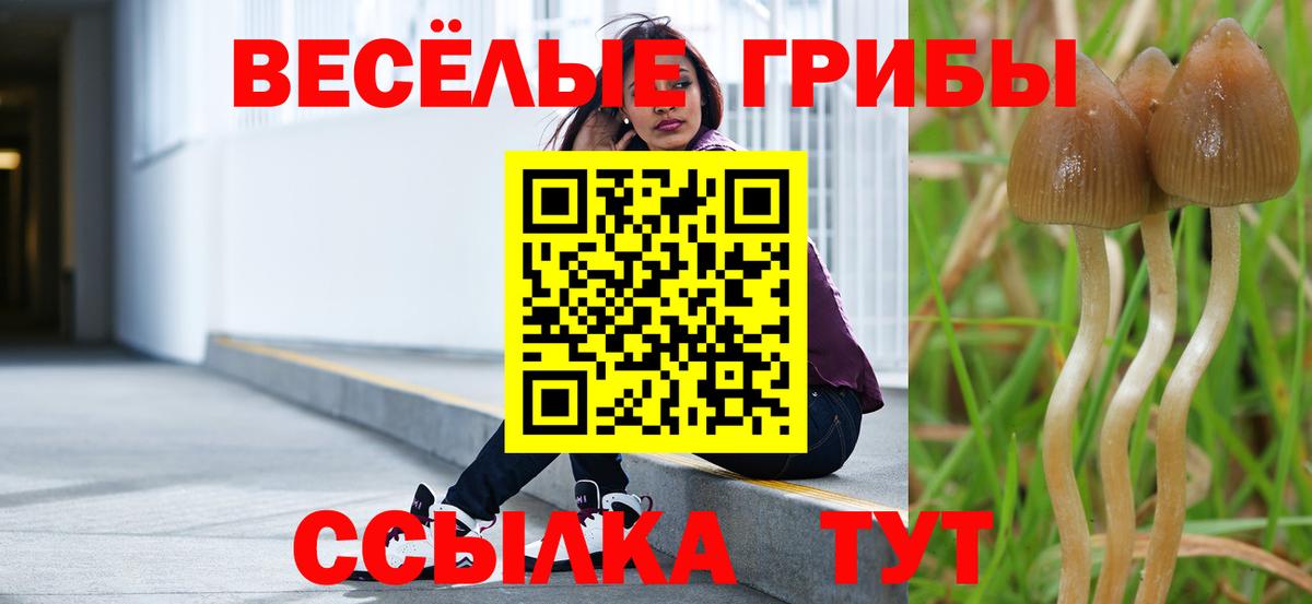 Псилоцибиновые грибы Cubensis  Вход с VPN  Орск 
